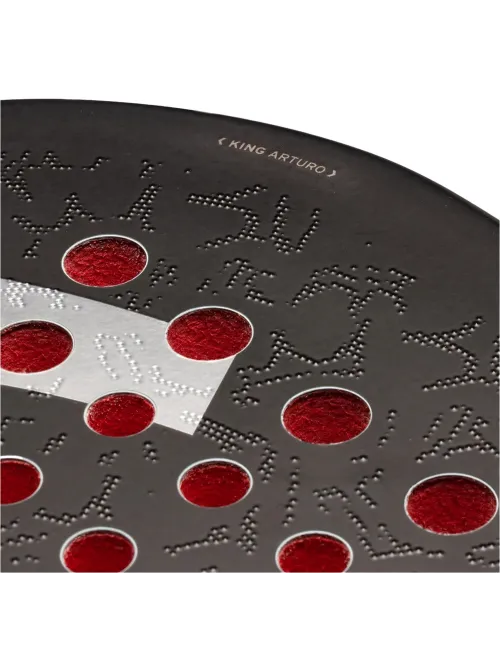 Head Coello Motion 2025